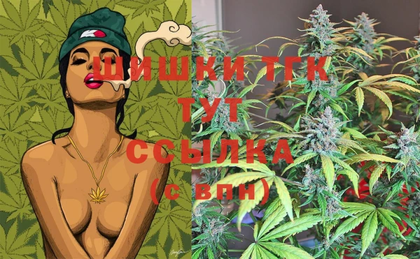 индика Новозыбков