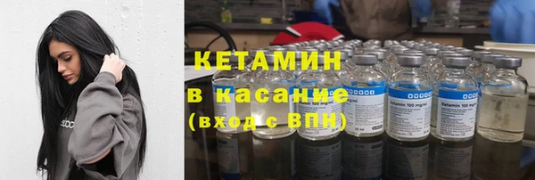 индика Новозыбков