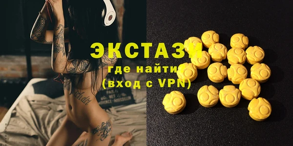 индика Новозыбков