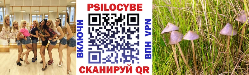 Галлюциногенные грибы мицелий  Торопец 